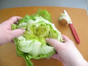 Cleaning lettuce